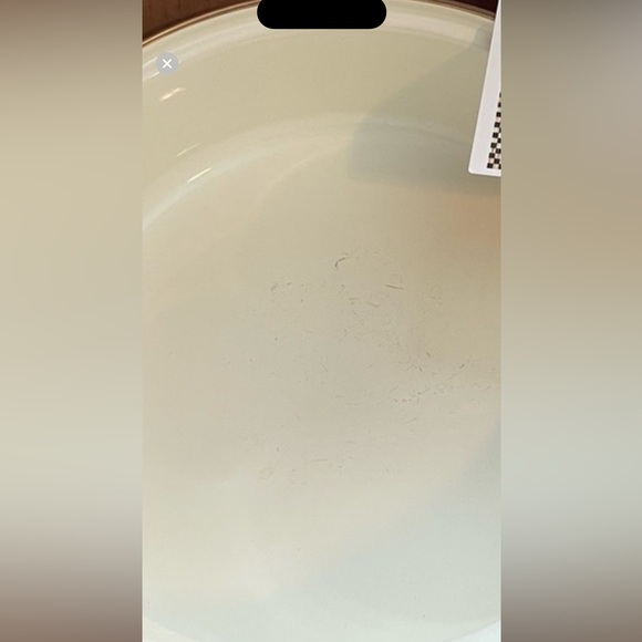 MACKENZIE-CHILDS FLOWER MARKET 3 QT. SAUTÉ PAN, excellent condition - Picture 5 of 5